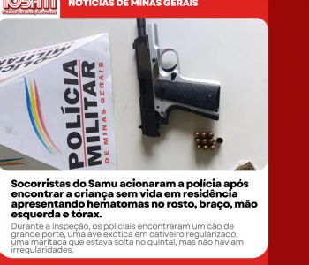 Ação da PM do Meio Ambiente resulta em apreensão de arma e munições no Pontalete.